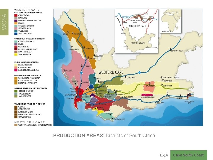 PRODUCTION AREAS: Districts of South Africa. Elgin Cape South Coast 