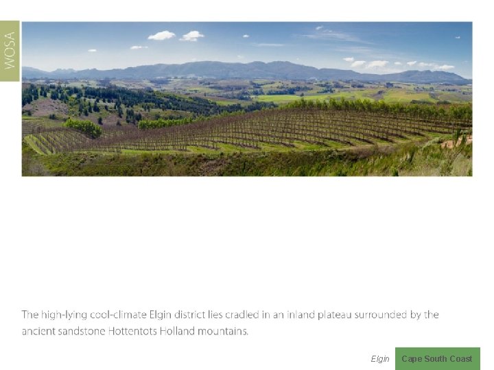 Elgin Cape South Coast 