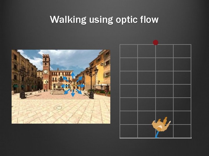 Walking using optic flow 