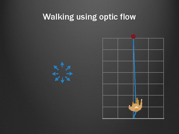 Walking using optic flow 