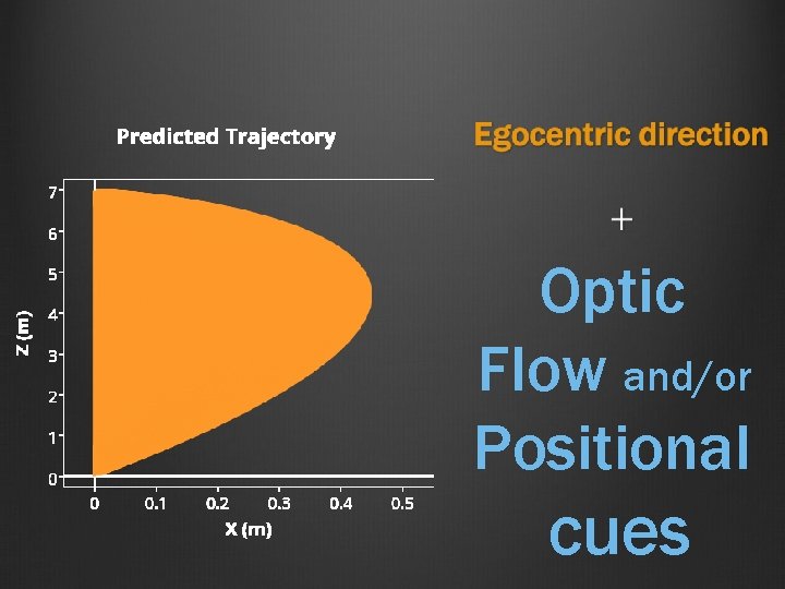 Optic Flow and/or Positional cues 
