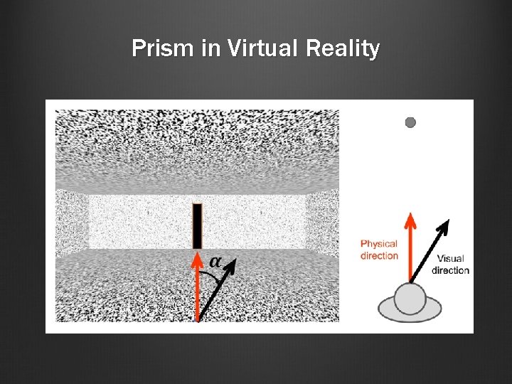 Prism in Virtual Reality 