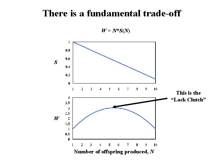 There is a fundamental trade-off W = N*S(N) S This is the “Lack Clutch”