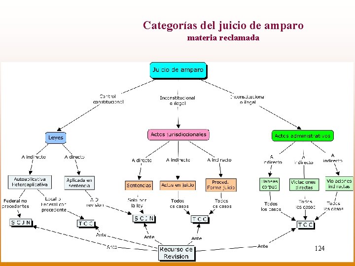 Categorías del juicio de amparo materia reclamada 124 