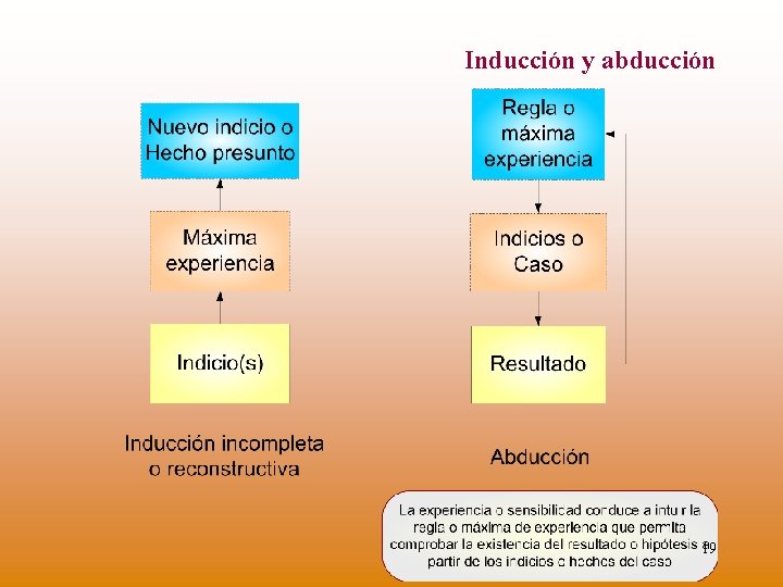 Inducción y abducción 19 