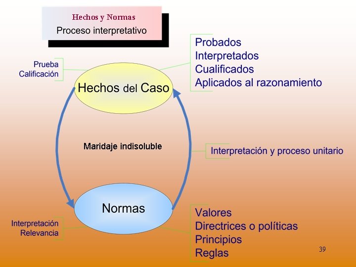 Hechos y Normas Maridaje indisoluble 39 