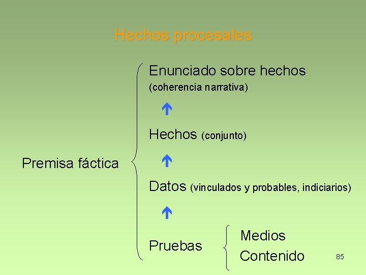 Hechos procesales Enunciado sobre hechos (coherencia narrativa) Hechos (conjunto) Premisa fáctica Datos (vinculados y