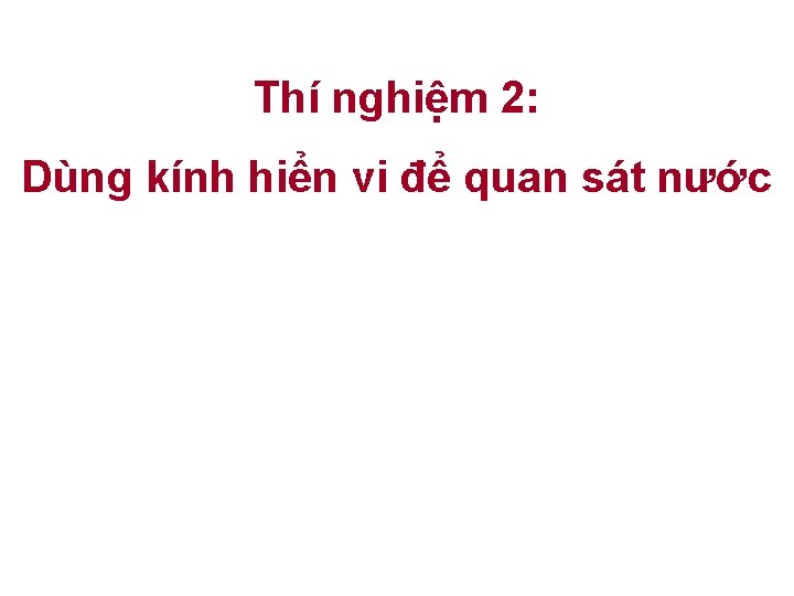 Thí nghiệm 2: Dùng kính hiển vi để quan sát nước 