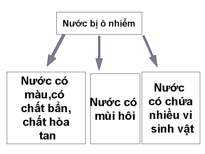 Nước bị ô nhiễm Nước có màu, có chất bẩn, chất hòa tan Nước