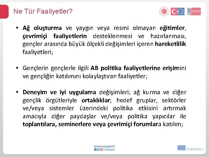 Ne Tür Faaliyetler? • Ağ oluşturma ve yaygın veya resmi olmayan eğitimler, çevrimiçi faaliyetlerin