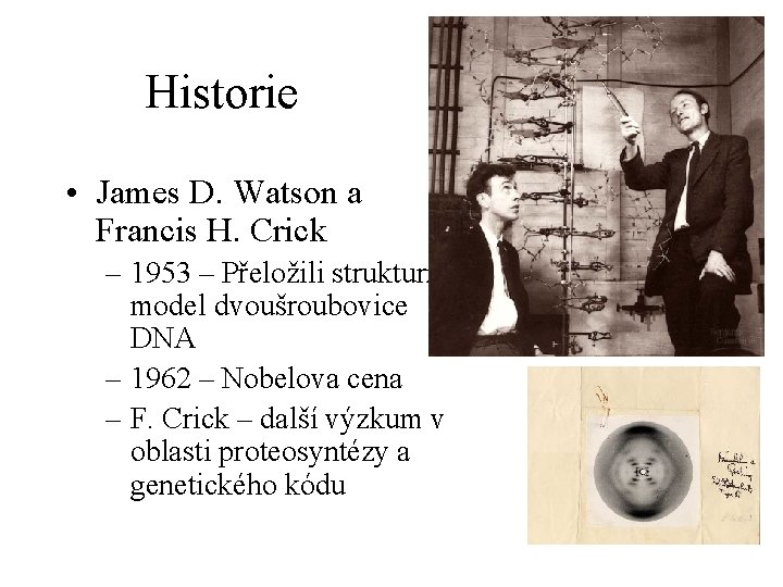 Historie • James D. Watson a Francis H. Crick – 1953 – Přeložili strukturní