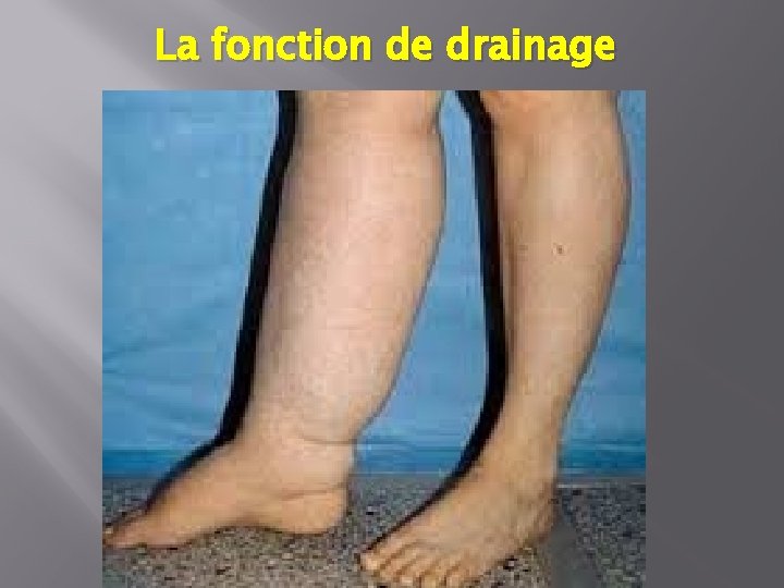 La fonction de drainage 