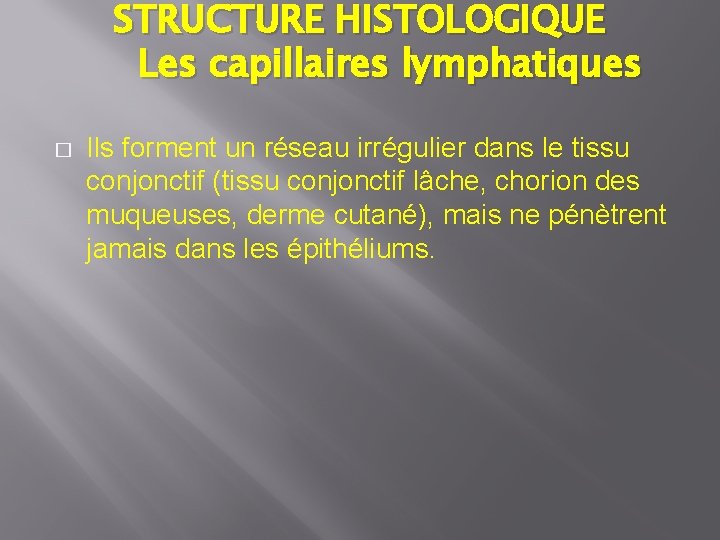 STRUCTURE HISTOLOGIQUE Les capillaires lymphatiques � Ils forment un réseau irrégulier dans le tissu