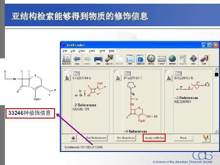 亚结构检索能够得到物质的修饰信息 33246种修饰信息 A division of the American Chemical Society 