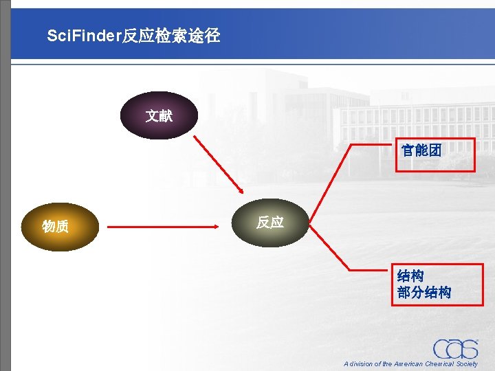 Sci. Finder反应检索途径 文献 官能团 物质 反应 结构 部分结构 A division of the American Chemical