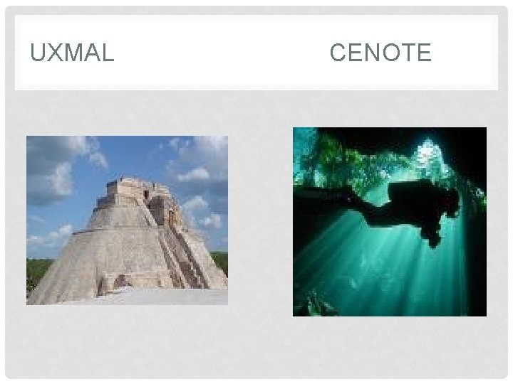 UXMAL CENOTE 