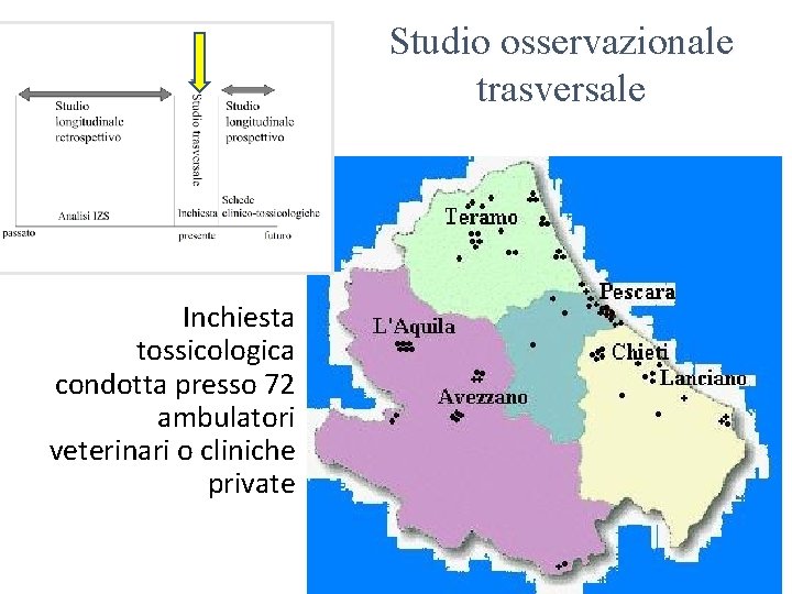 Studio osservazionale trasversale Inchiesta tossicologica condotta presso 72 ambulatori veterinari o cliniche private Prof.