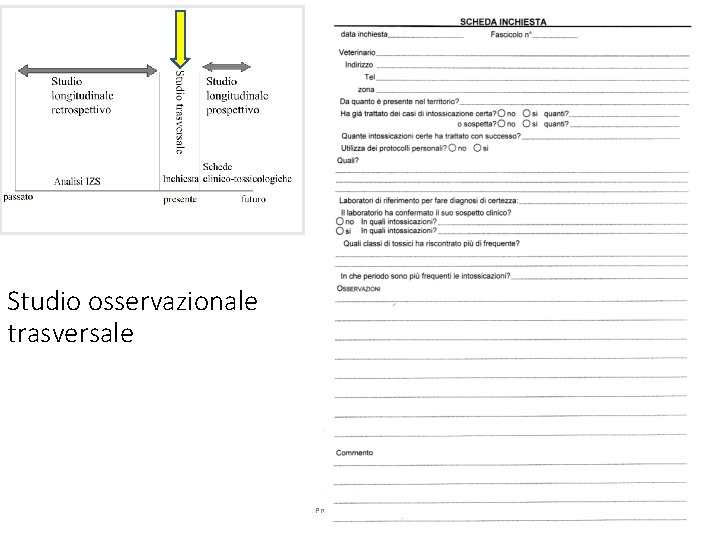 Studio osservazionale trasversale Prof. Michele AMORENA 14 