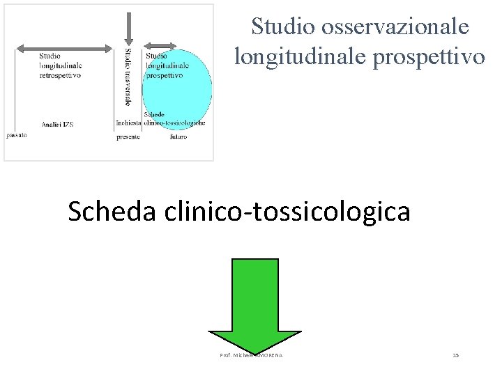 Studio osservazionale longitudinale prospettivo Scheda clinico-tossicologica Prof. Michele AMORENA 15 