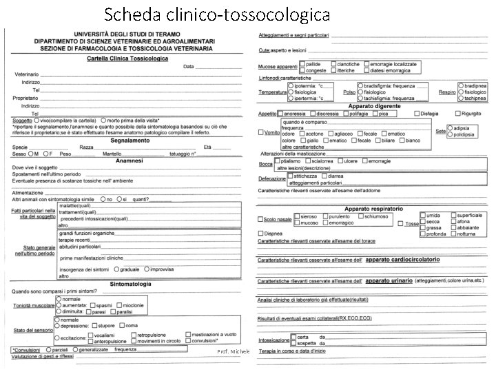 Scheda clinico-tossocologica Prof. Michele AMORENA 16 