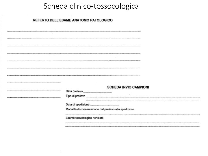 Scheda clinico-tossocologica Prof. Michele AMORENA 17 