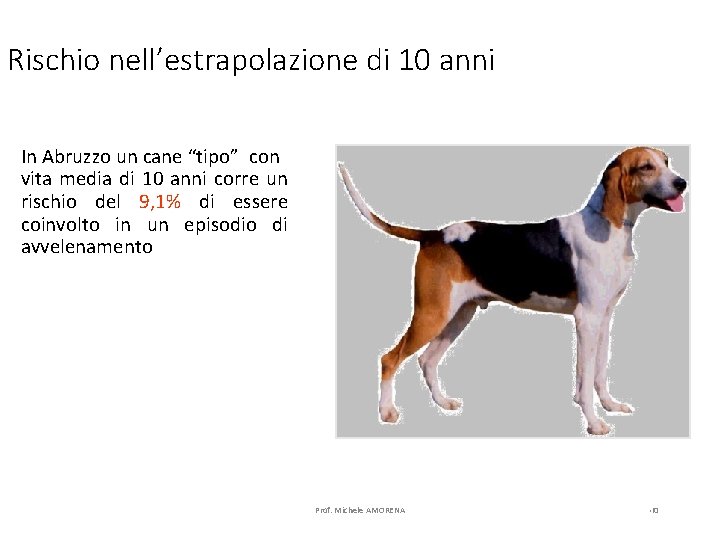 Rischio nell’estrapolazione di 10 anni In Abruzzo un cane “tipo” con vita media di
