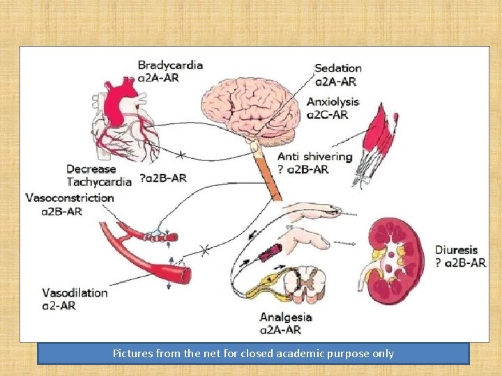 Pictures from the net for closed academic purpose only 