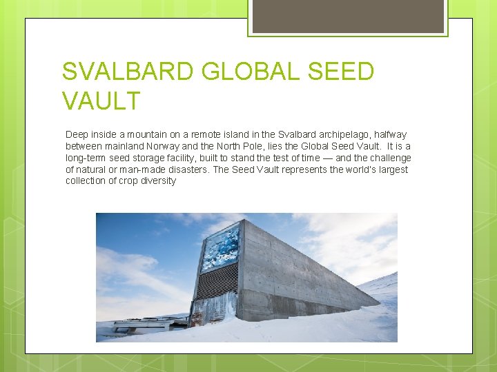SVALBARD GLOBAL SEED VAULT Deep inside a mountain on a remote island in the