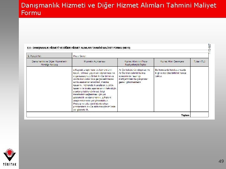 Danışmanlık Hizmeti ve Diğer Hizmet Alımları Tahmini Maliyet Formu 49 