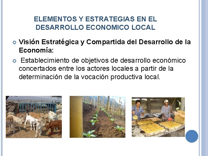 ELEMENTOS Y ESTRATEGIAS EN EL DESARROLLO ECONOMICO LOCAL Visión Estratégica y Compartida del Desarrollo
