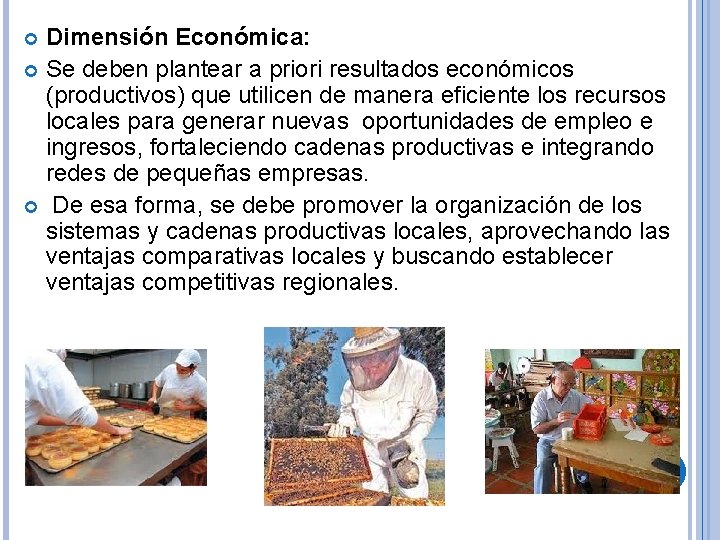 Dimensión Económica: Se deben plantear a priori resultados económicos (productivos) que utilicen de manera