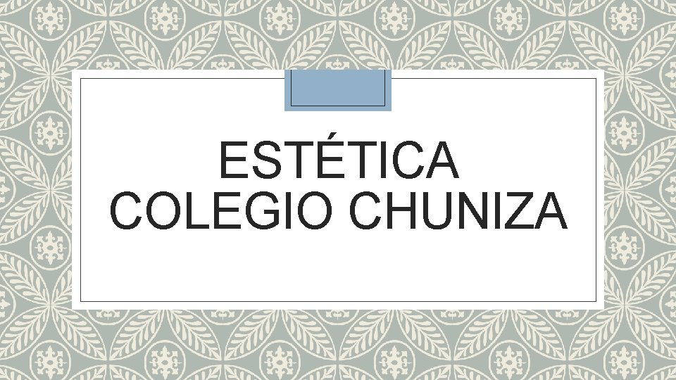 ESTÉTICA COLEGIO CHUNIZA 