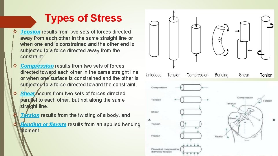 Types of Stress Tension results from two sets of forces directed away from each Types of Stress Tension results from two sets of forces directed away from each