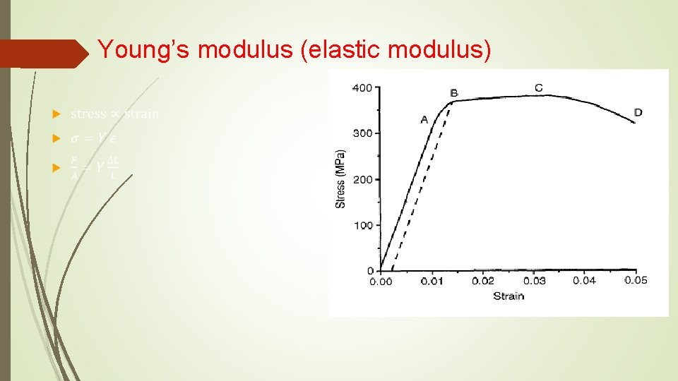 Young’s modulus (elastic modulus) Young’s modulus (elastic modulus)