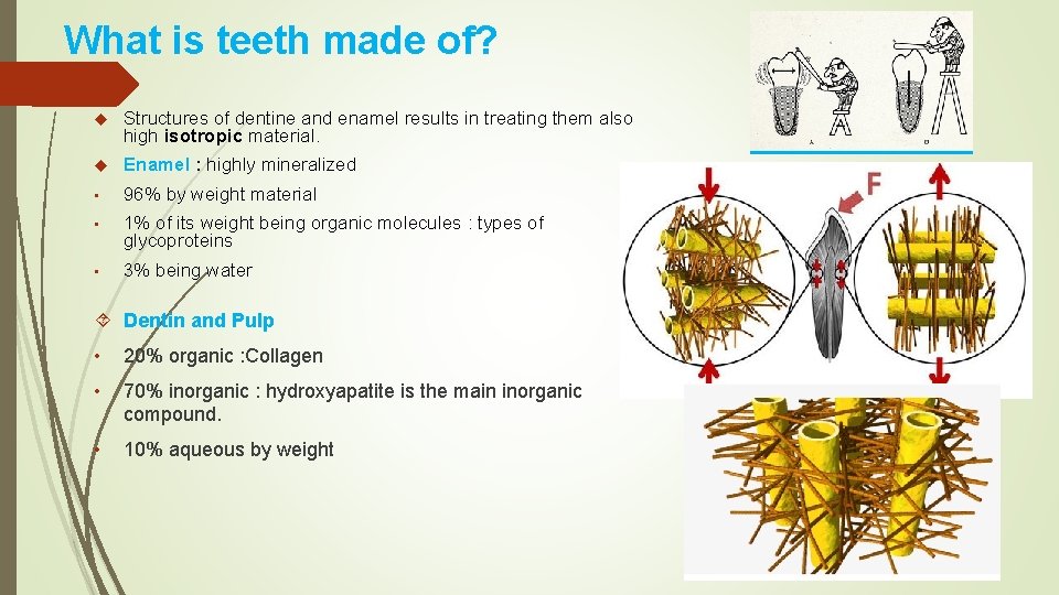 What is teeth made of? Structures of dentine and enamel results in treating them What is teeth made of? Structures of dentine and enamel results in treating them