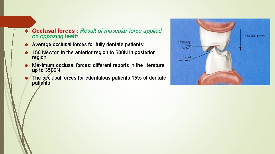 Occlusal forces : Result of muscular force applied on opposing teeth. Average occlusal Occlusal forces : Result of muscular force applied on opposing teeth. Average occlusal