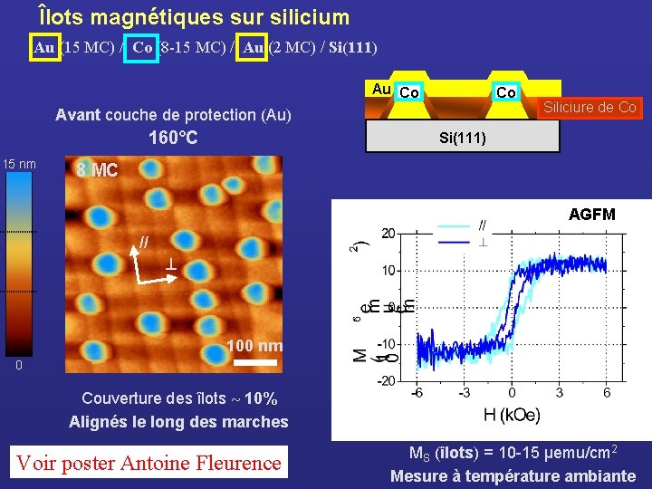 Îlots magnétiques sur silicium Au (15 MC) / Co (8 -15 MC) / Au