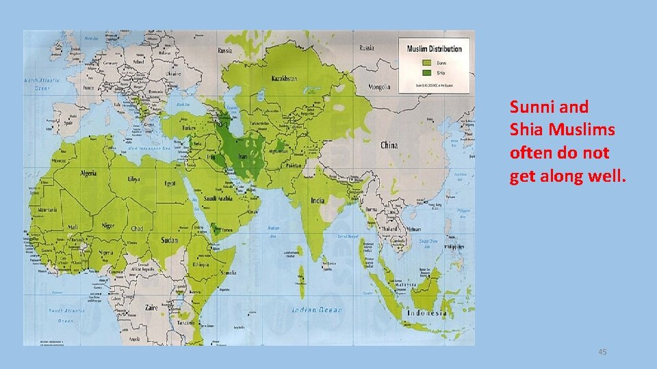 Sunni and Shia Muslims often do not get along well. 45 