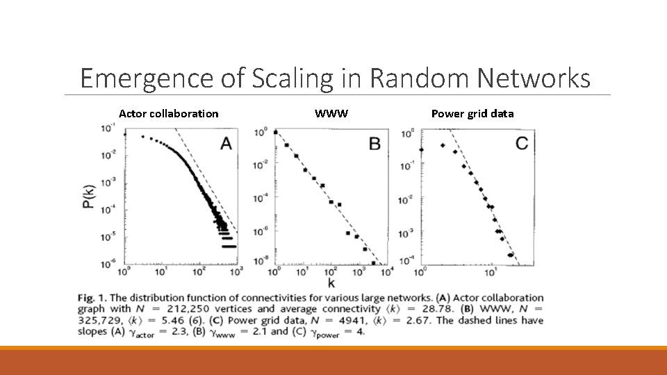 Emergence of Scaling in Random Networks Actor collaboration WWW Power grid data 