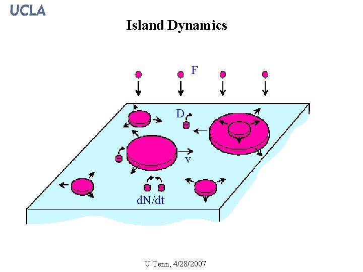 Island Dynamics F F D v d. N/dt 20 U Tenn, 4/28/2007 