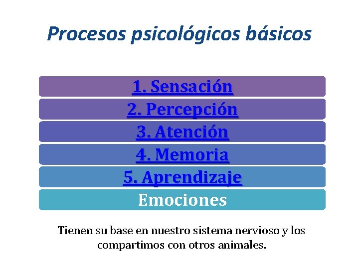 Procesos psicológicos básicos 1. Sensación 2. Percepción 3. Atención 4. Memoria 5. Aprendizaje Emociones