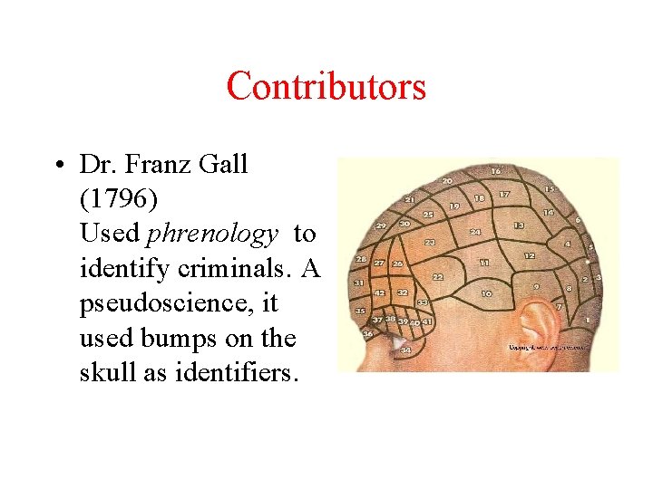 Contributors • Dr. Franz Gall (1796) Used phrenology to identify criminals. A pseudoscience, it