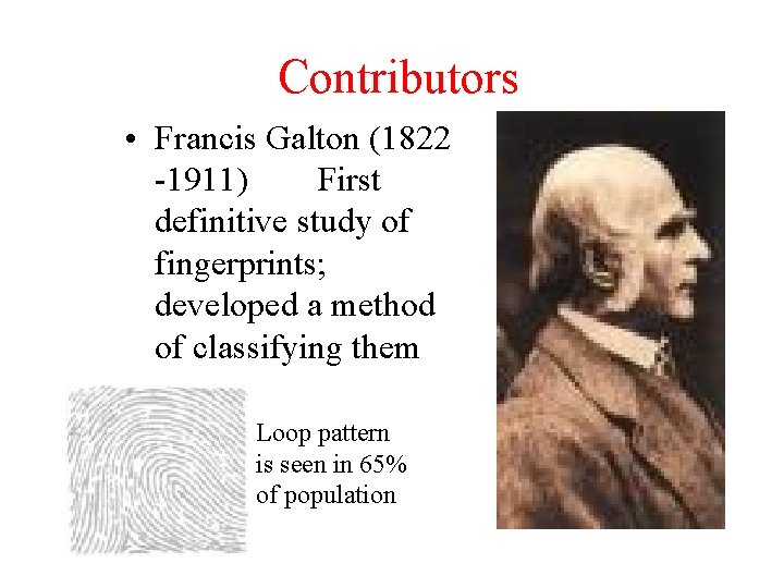 Contributors • Francis Galton (1822 -1911) First definitive study of fingerprints; developed a method