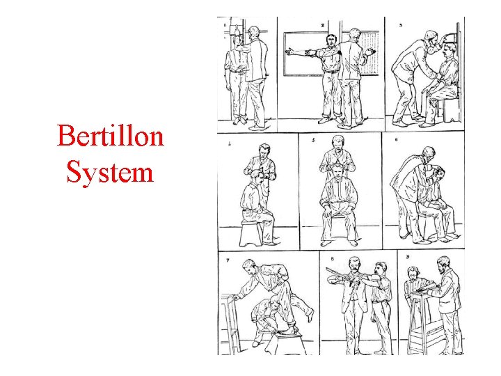 Bertillon System 