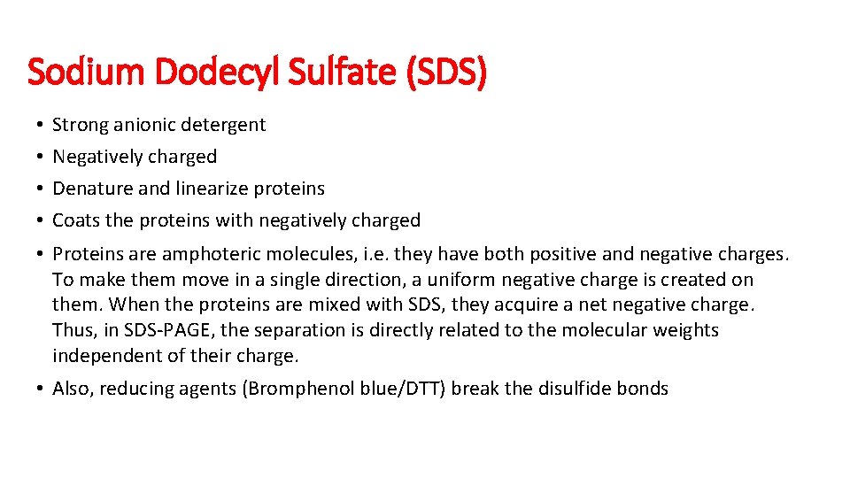 Sodium Dodecyl Sulfate (SDS) • • Strong anionic detergent Negatively charged Denature and linearize