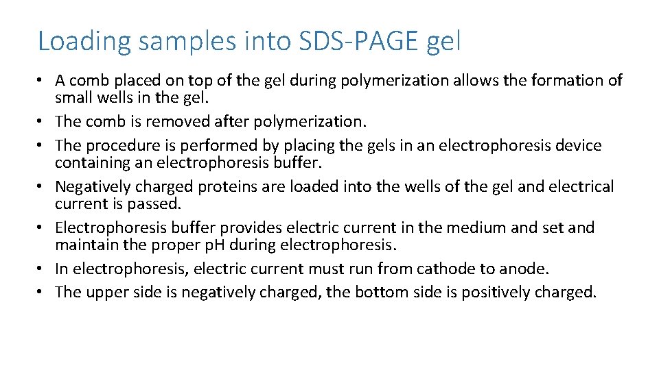 Loading samples into SDS-PAGE gel • A comb placed on top of the gel