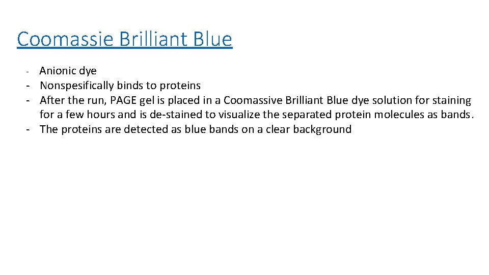 Coomassie Brilliant Blue Anionic dye - Nonspesifically binds to proteins - After the run,