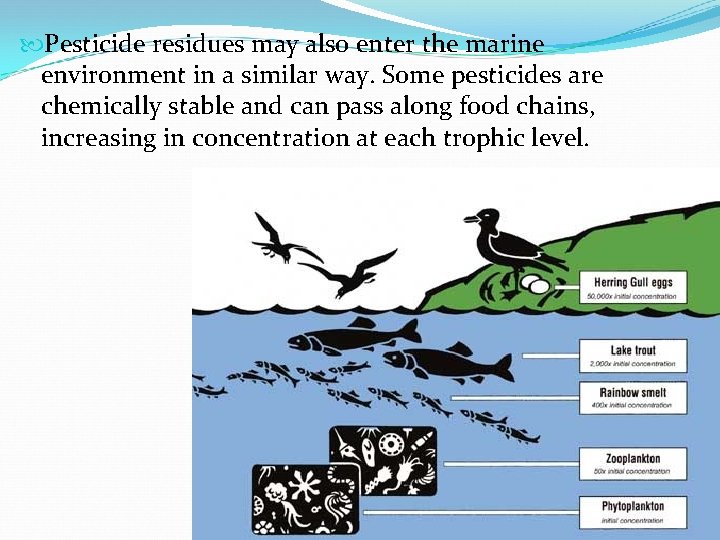  Pesticide residues may also enter the marine environment in a similar way. Some