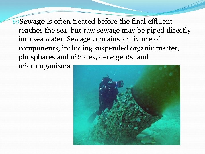  Sewage is often treated before the final effluent reaches the sea, but raw