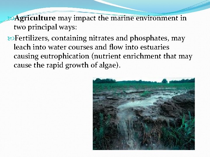  Agriculture may impact the marine environment in two principal ways: Fertilizers, containing nitrates